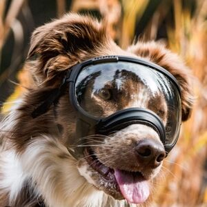 NIB Rex Specs Size Large Dog Google - Clear and Smoke color lenses. Black frame.